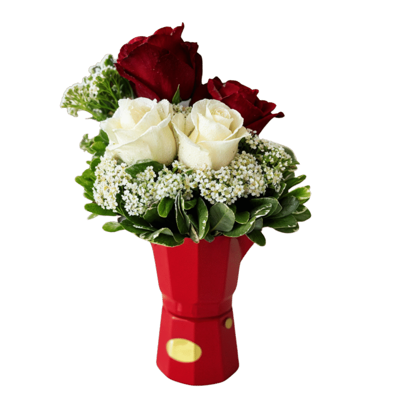 GRECA ROSES – MD1048