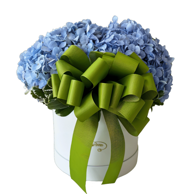 BOX-MD1067