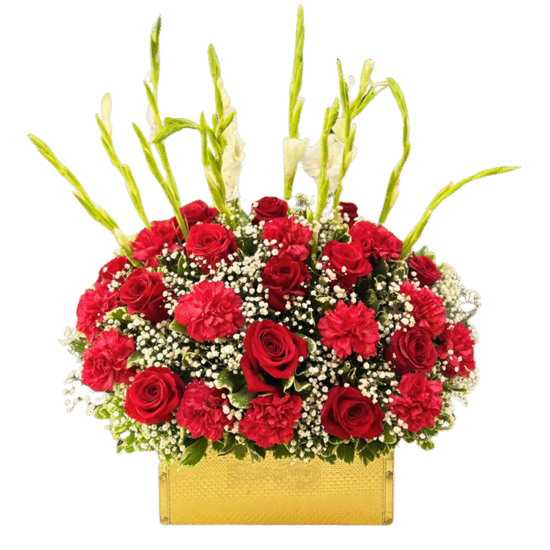BAUL-MD1076