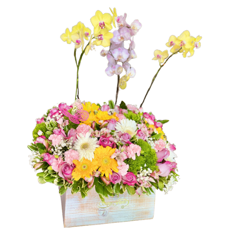 Caja de orquideas y flores