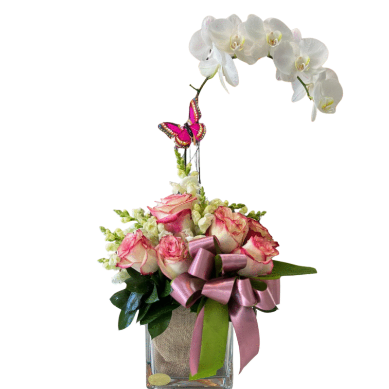 ORQUIDEA-MD1038