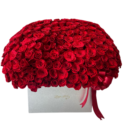 BAUL 172 ROSAS-010
