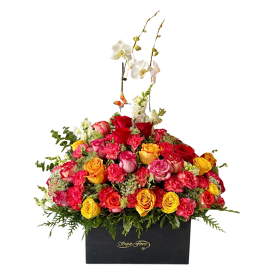 CANASTA MIXTA-011