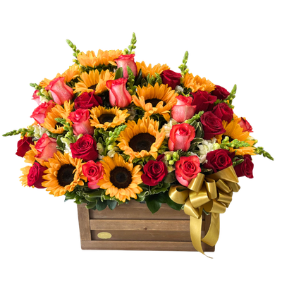 BAUL 24 ROSAS-012