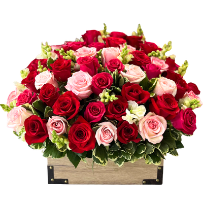 BAUL 50 ROSAS-013