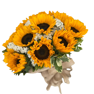 PUCHA 12 GIRASOLES-017