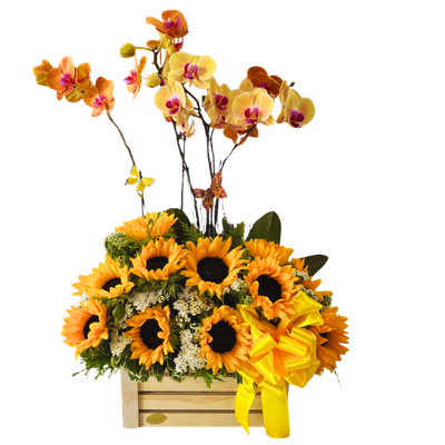 CANASTA GIRASOLES-027