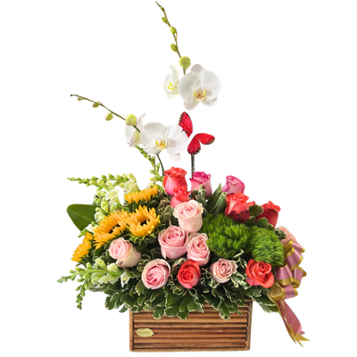 CANASTA MIXTA-028