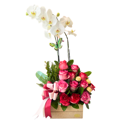 CANASTA MIXTA-029