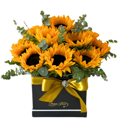 CAJA 20 GIRASOLES-041