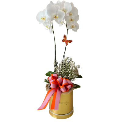 ORQUIDEA DOBLE-047
