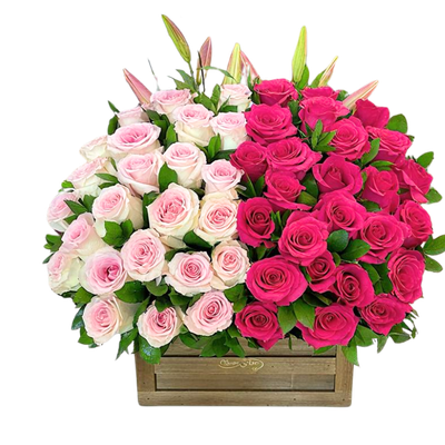 BAUL DE ROSAS-005