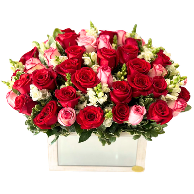 BAUL 36 ROSAS-007