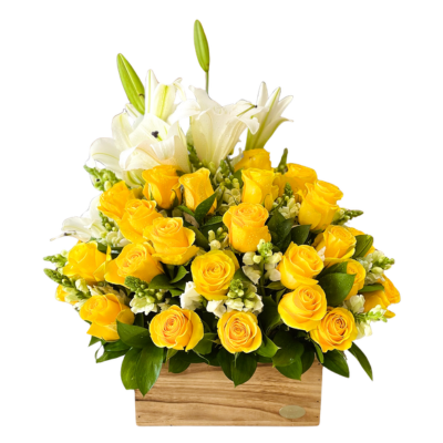 Baul 24 rosas amarillas