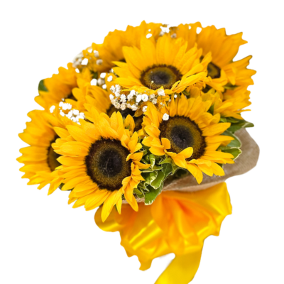 Pucha 10 Girasoles